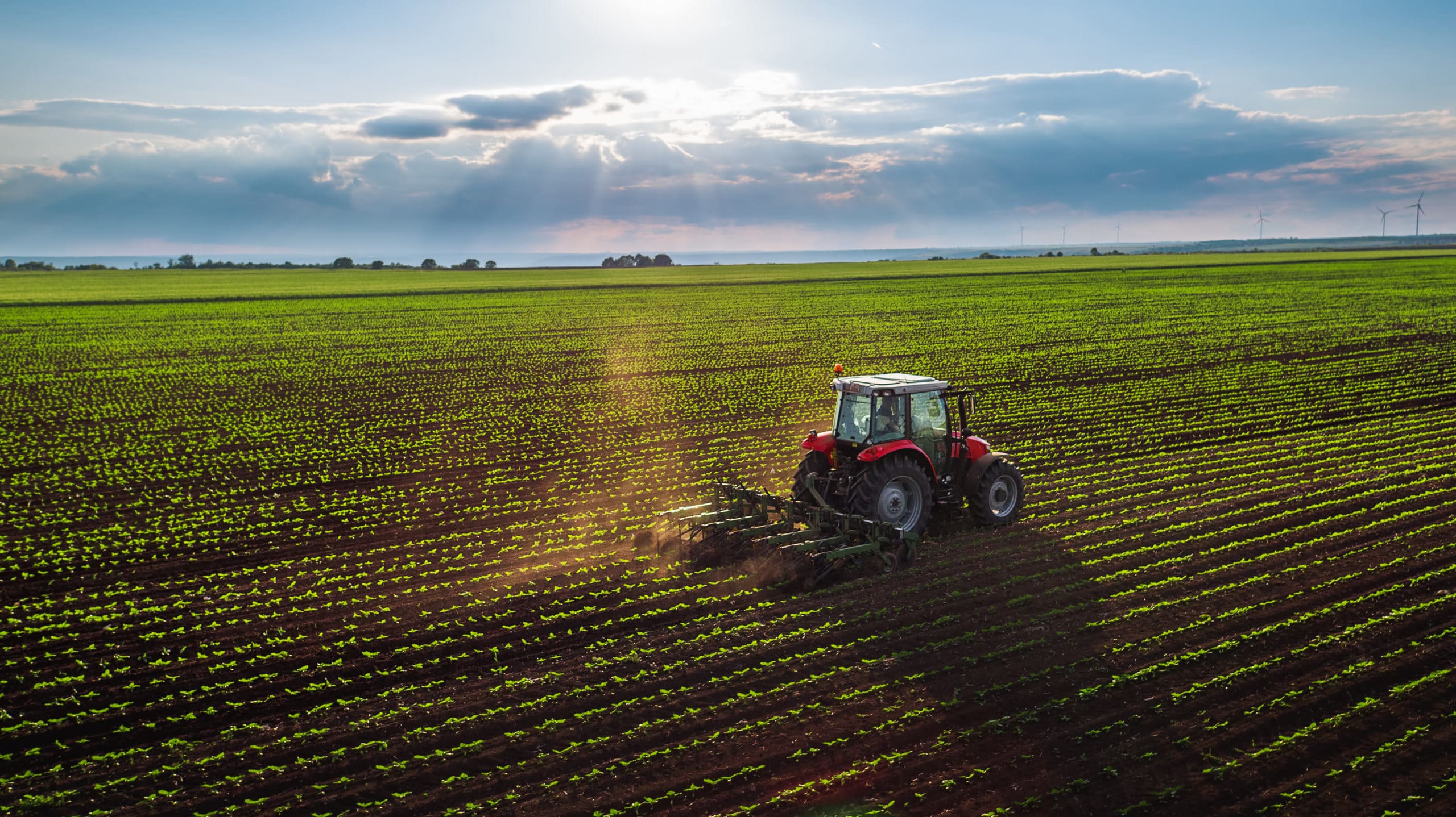 Tractor cultivating field at spring 