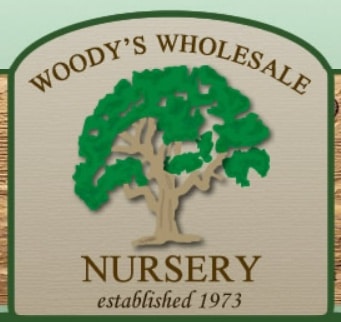 woody logo